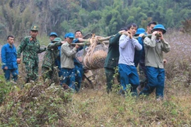 Son La : neutralisation d'une bombe de 340 kg