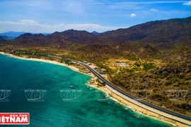 Le long de la plus belle route côtière du Vietnam