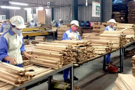 Les échanges commerciaux Vietnam – Afrique du Sud atteindra 2 milliards de dollars