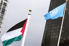 Message de félicitations pour la Journée internationale de solidarité avec le peuple palestinien