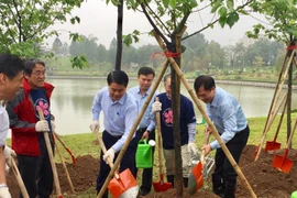 Plantation de 1.000 cerisiers du Japon dans le parc Hoa Binh à Hanoï