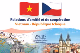 Relations d’amitié et de coopération Vietnam - République tchèque