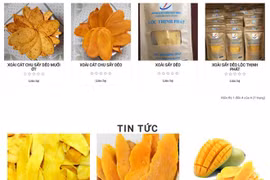 Le nom de domaine national « .vn » aide à développer des marques de produits agricoles locaux