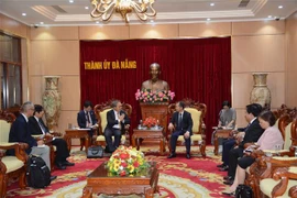 Da Nang appelle à davantage d'investissements japonais dans la culture