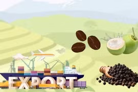 Les exportations des six plantes industrielles clés atteindront 14-16 milliards de dollars d'ici 2030