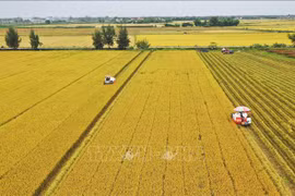 Le PM assiste à une conférence nationale sur l’agriculture et le développement rural