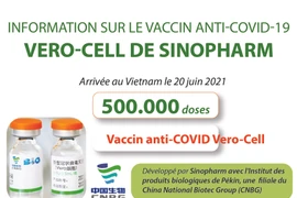 Information sur le vaccin anti-COVID-19 VERO-CELL de SINOPHARM