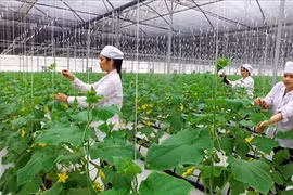 Édification de la Nouvelle ruralité à Thanh Hoa