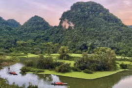 Le site écologique du jardin aux oiseaux de Thung Nham à Ninh Binh