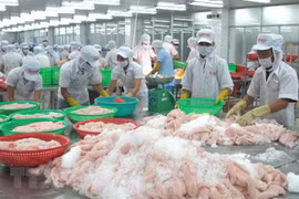Bon début d'année pour Tien Giang en matière d'exportation