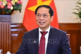 Ministre vietnamien des Affaires étrangères : donner un nouvel élan aux relations Vietnam-Chine
