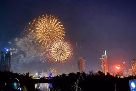 Ho Chi Minh-Ville tirera des feux d'artifice en l’honneur du Nouvel An du Rat