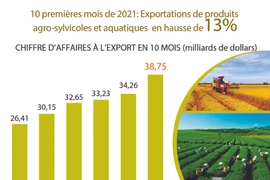 Exportations de produits agro-sylvicoles et aquatiques en hausse de 13% en 10 mois