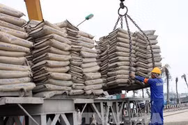 Ciment : VICEM devrait atteindre un chiffre d’affaires de 40.000 milliards de dongs en 2018