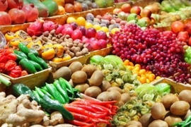 Potentiels d'exportations des légumes, fruits et épices vers l'UE 