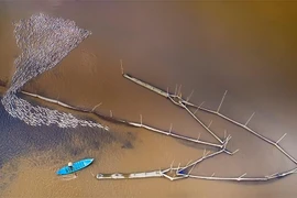 Le charme poétique du Delta du Mékong à la saison des crues