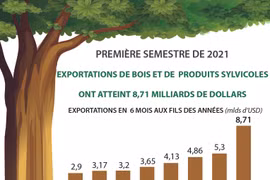 Exportations de bois et de produits sylvicoles: 8,71 milliards de dollars en six mois 