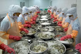 Exportations de crevettes: profiter des opportunités pour prendre l'essor en 2021