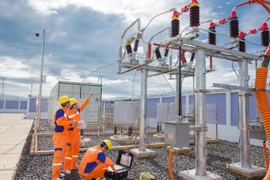 Electricité: la société EVNNPC conserve la note “BB” émise par Fitch Ratings