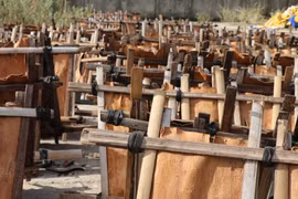 Cannelle de Tra Bong - l'une des «quatre importantes herbes médicinales» de la médecine traditionnelle