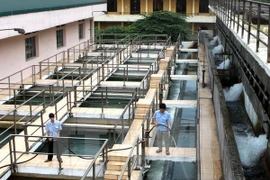 Colloque pour le développement durable du secteur de l'eau au Vietnam