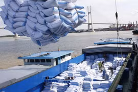 De belles promesses pour les exportations de riz