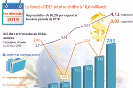 Le fonds d’IDE total se chiffre à 10,8 milliards d’USD