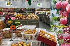 Les exportations vietnamiennes vers l’Australie en hausse