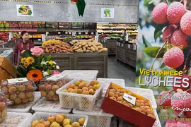 Les exportations vietnamiennes vers l’Australie en hausse