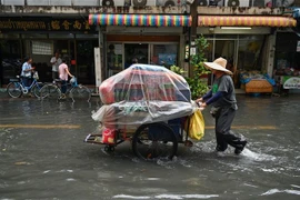 La Thaïlande approuve un budget pour la prévention de la sécheresse et des inondations