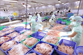 Exportations de produits aquatiques en hausse de 3% au premier trimestre