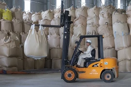 Thanh Hoa se concentre sur le développement des marques de son riz