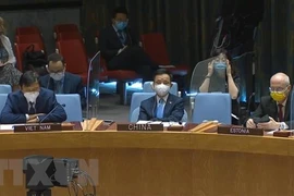 ONU : le Vietnam soutient une solution politique globale et des élections opportunes en Lybie