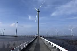 Le Vietnam cherche des investissements américains dans les énergies renouvelables