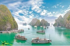La baie d'Ha Long parmi les plus belles destinations du monde en 2022