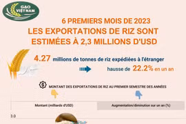 Au premier semestre 2023, les exportations de riz sont estimées à 2,3 milliards d'USD
