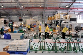 Inauguration de la première usine vietnamienne à Cuba