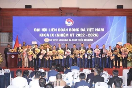La Fédération vietnamienne de football a son nouveau président