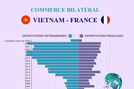 Echanges commerciaux Vietnam - France