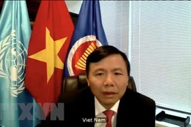Le Vietnam participe au vote de nouveaux juges à la Cour internationale de Justice