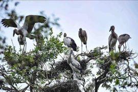 Le WWF salue la conservation de la biodiversité au Vietnam