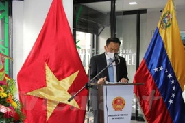 Célébration des 31 ans des relations diplomatiques Vietnam-Venezuela