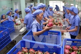 Fruits et légumes : les exportations atteignent 3,5 milliards de dollars en onze mois