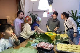 Le vice-ministre des Affaires étrangères adresse les voeux du Têt aux Vietnamiens d'outre-mer