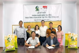 Le riz vietnamien Ông Cua ST25 arrive sur le marché britannique