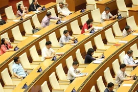 La 9e session de l'AN : affaires ethniques et investissements sous forme de PPP au débat