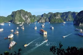 Vietnam-Égypte: coopération renforcée dans le commerce et le tourisme