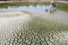 Surmonter les défis du changement climatique au Vietnam