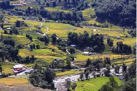 L’été à la vallée de Ta Van-Lao Chai impressionne les touristes