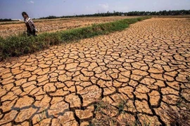 Des efforts considérables sont nécessaires pour aider le delta du Mékong à surmonter la sécheresse